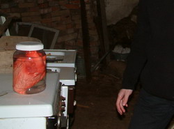 Nález